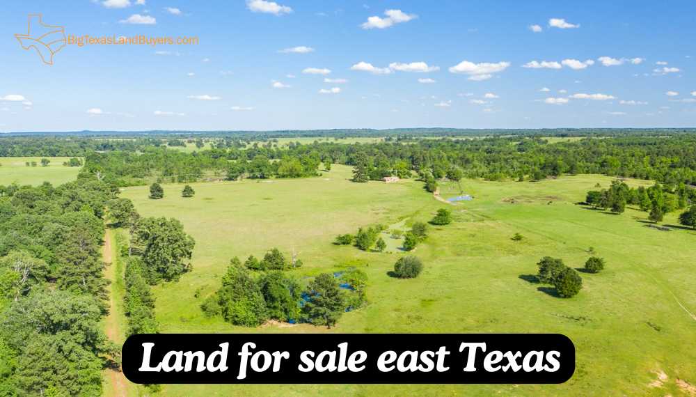 land for sale east texas