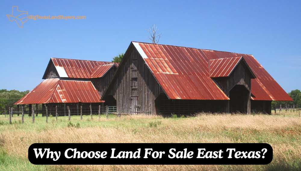 Land For Sale East Texas