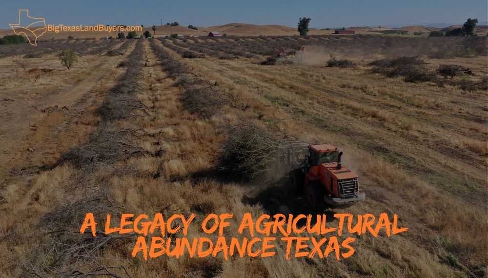 A Legacy of Agricultural Abundance texas