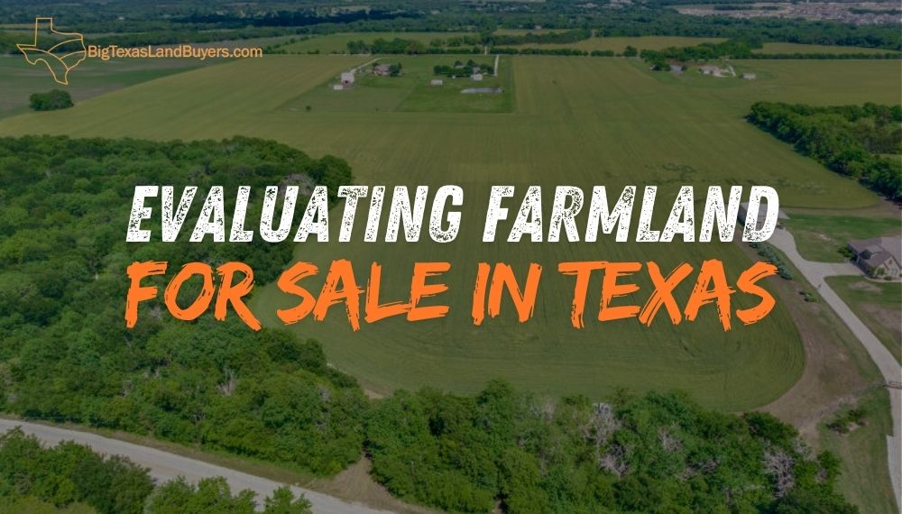 Farmland for Sale in Texas