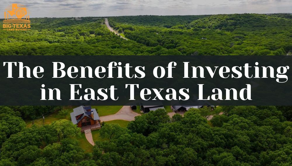 The Benefits of Investing in East Texas Land