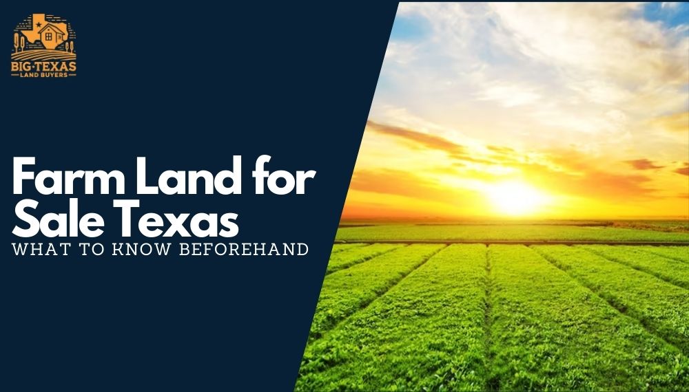 Farm Land for Sale in Texas