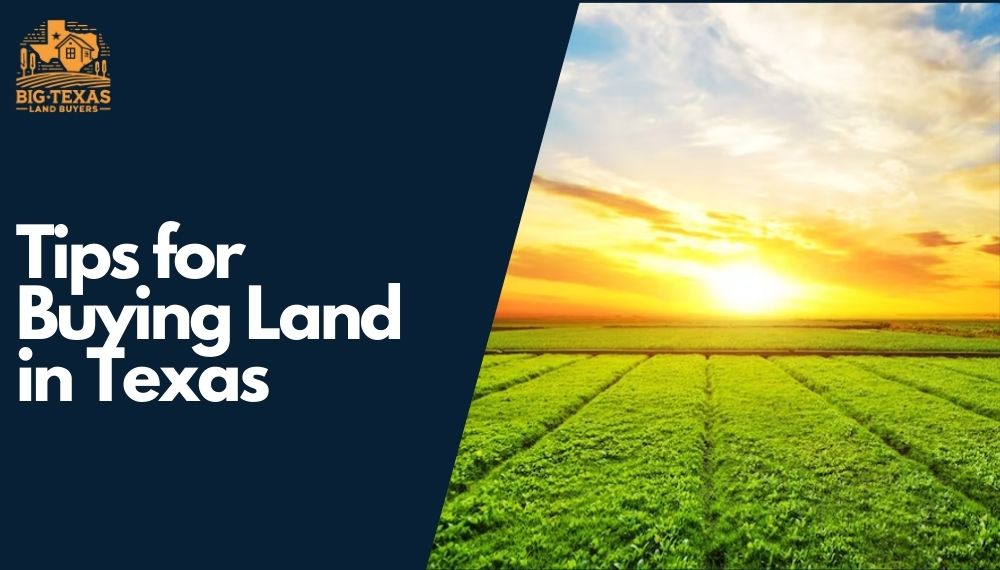 Tips for Buying Land in Texas