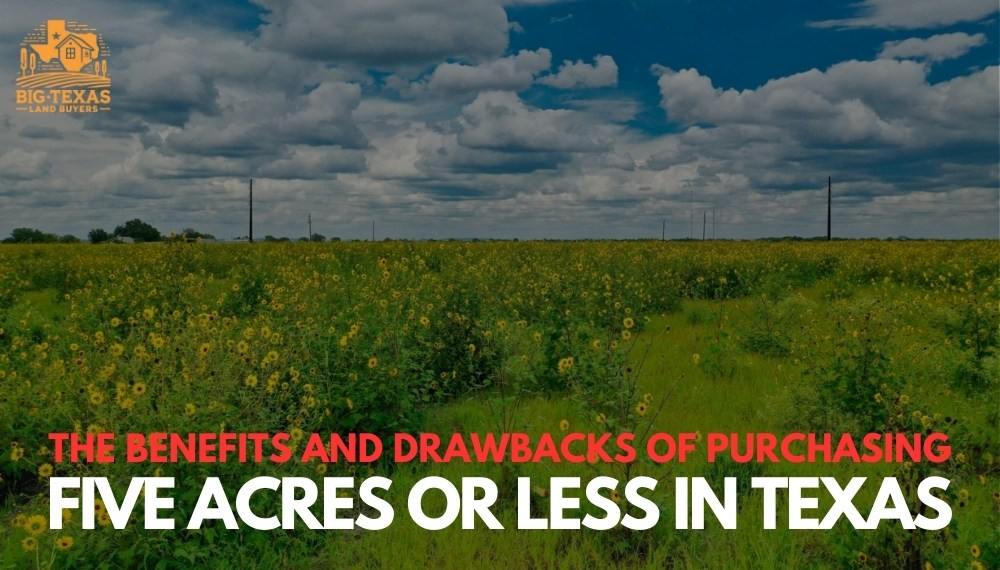 The Benefits and Drawbacks of Purchasing Land in Texas